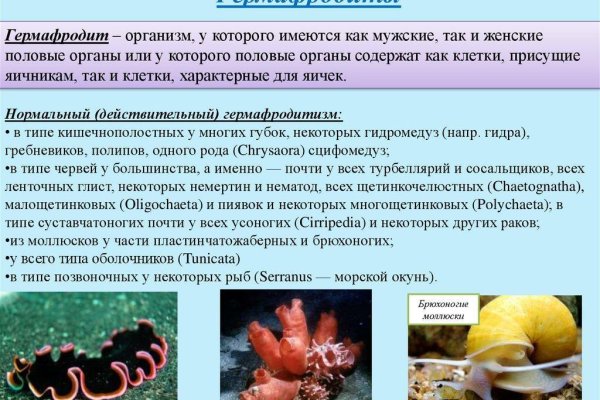 Где взять ссылку на кракен kraken014 com