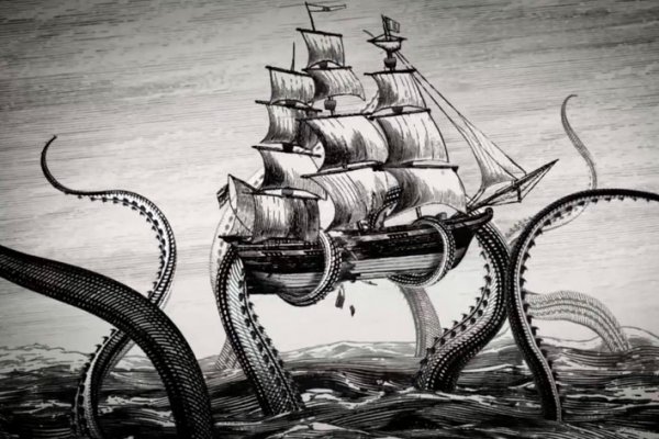 Kraken найдется все