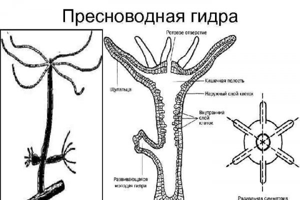 Ссылка на кракен 14ат